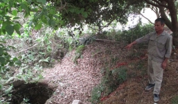 Hà Nội: Phát hiện thi thể người đàn ông dưới giếng hoang